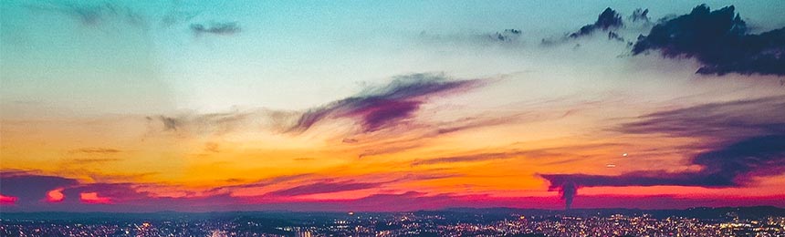 安岳茶虫网_安岳品茶